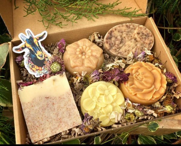 Seasonal Soap Box Subscription