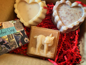 Mini Monthly Soap Box Subscription
